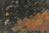 Polished, Apache Gold (Chalcopyrite) Slab - Arizona #93801-1